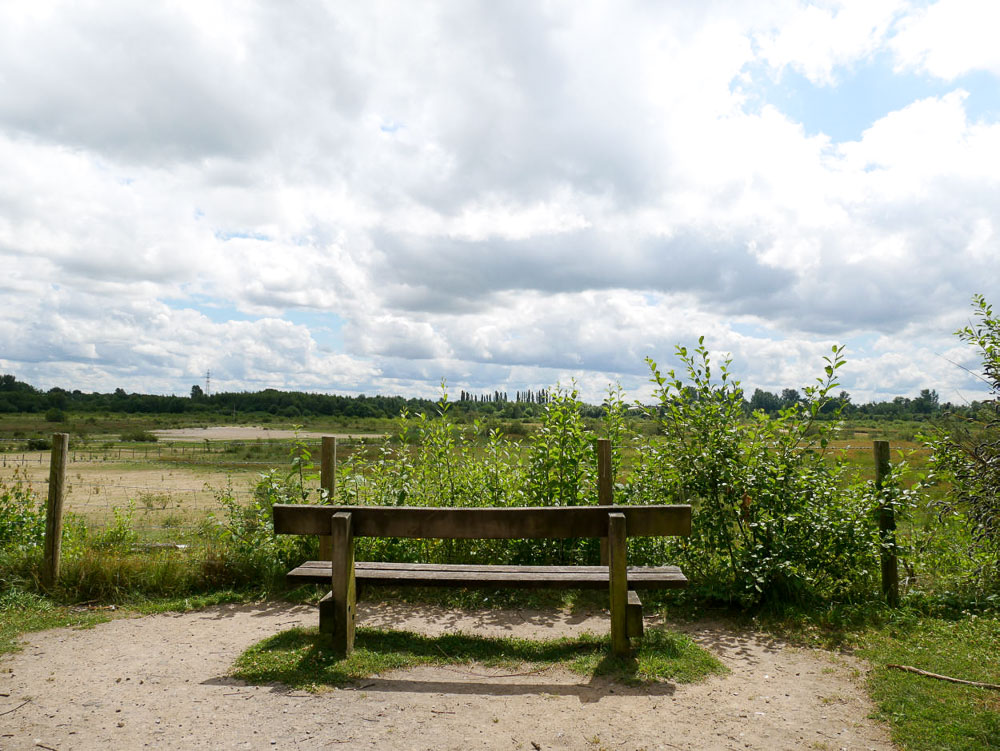 Northwich Town Centre Green Space